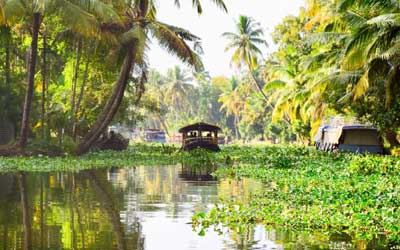 Alleppey